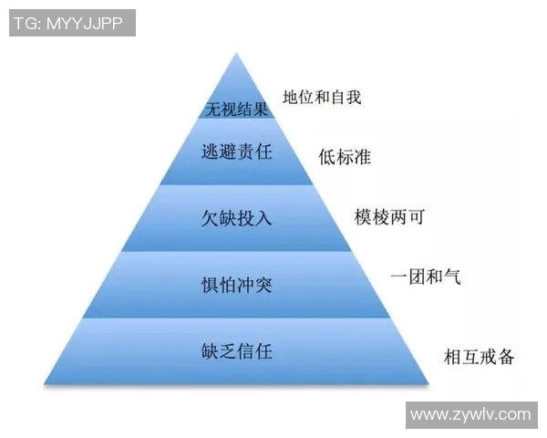 重庆羽毛球队团队协作的创新变革与热议探讨